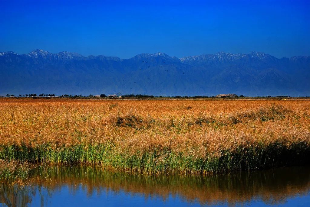 刚试了一下中华文字果然博大精深,涨知识了快来看看中国文字的魅力