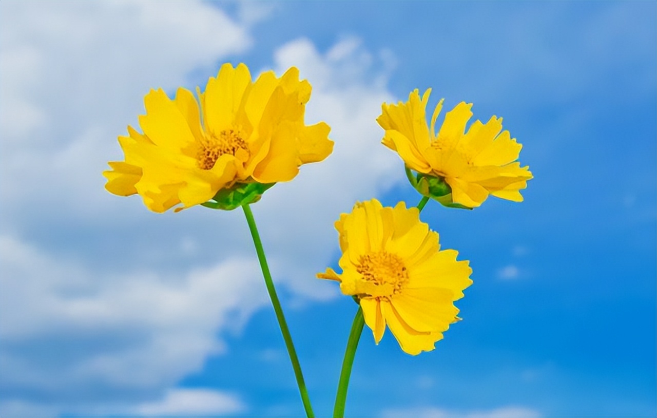 情人相处如何才能长久,情人相处怎么样才不累