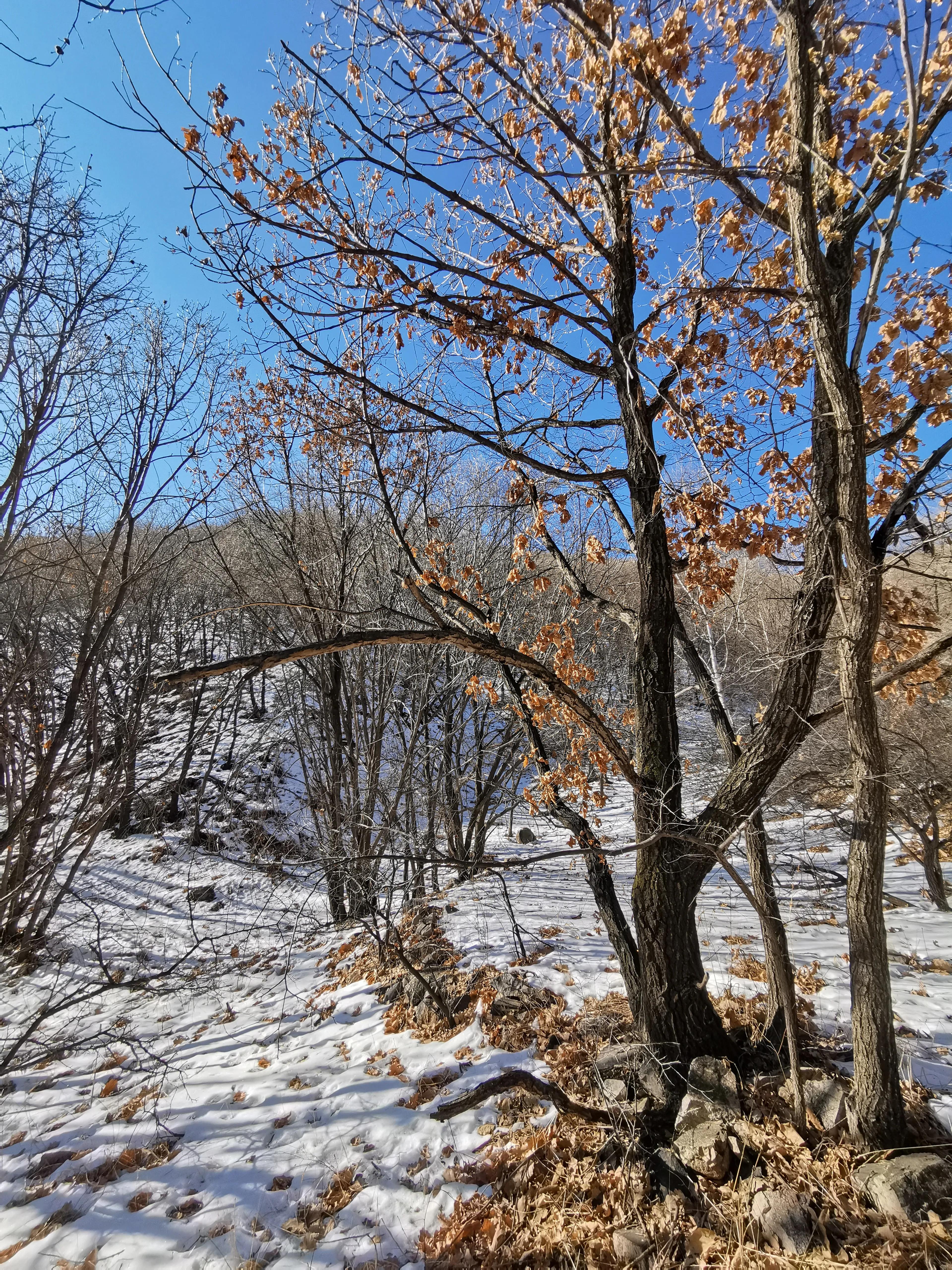 围场土话顺口溜,围场方言日常用语300句