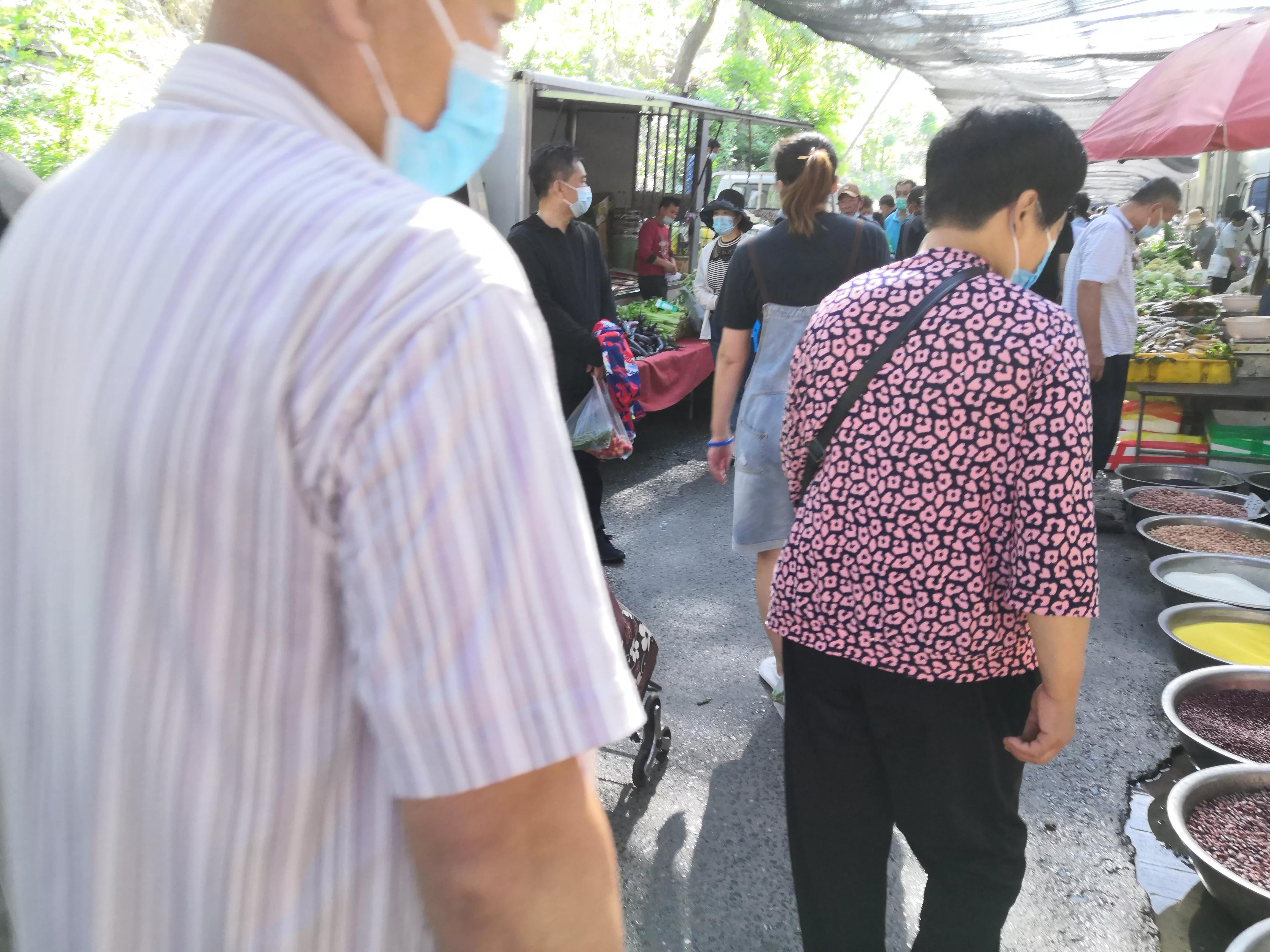 夜来风雨声花落知多少,夜来风雨声花落知多少国画