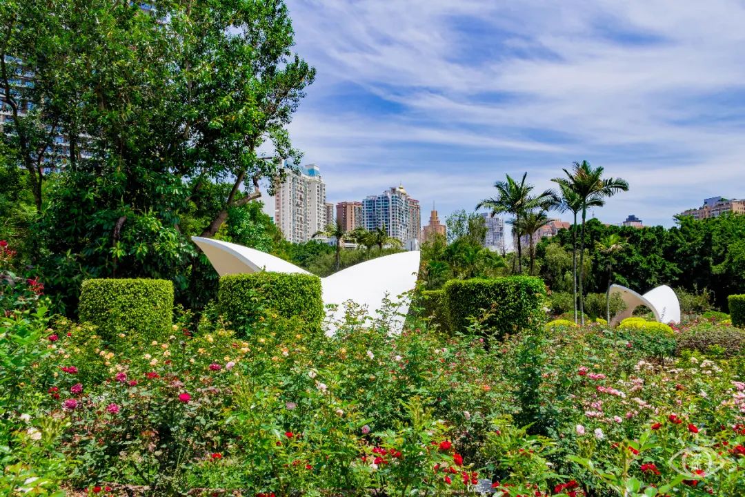 深圳4号线哪个站好玩,深圳1号线有哪些玩的地方