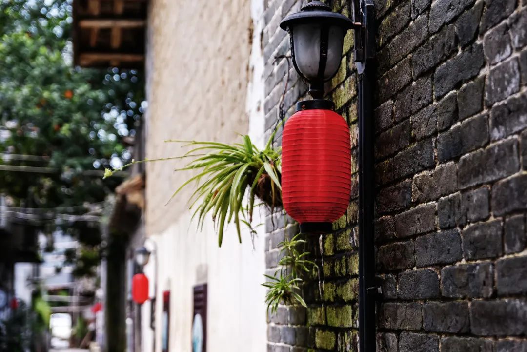 广州最值得去的古镇,适合周末打卡的广州绝美古镇