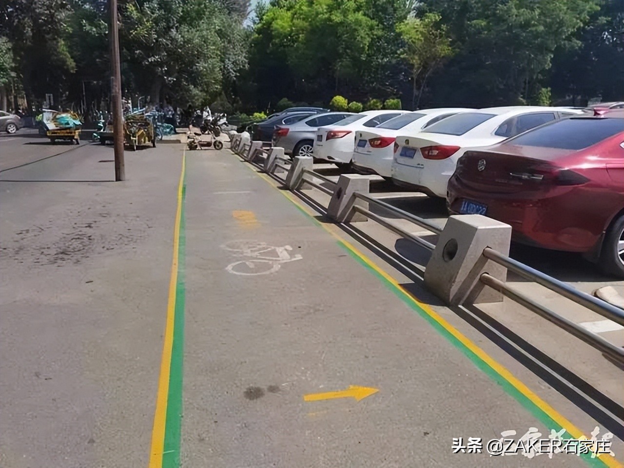 石家庄推行潮汐停车机制；重点管理区禁养犬只标准和品种发布；手机号将可“一键解绑”微博淘宝抖音美团