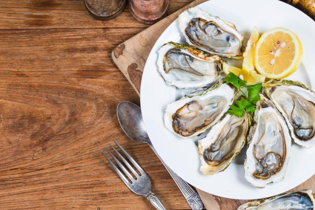 新西兰海鲜一览表,世界海鲜图片