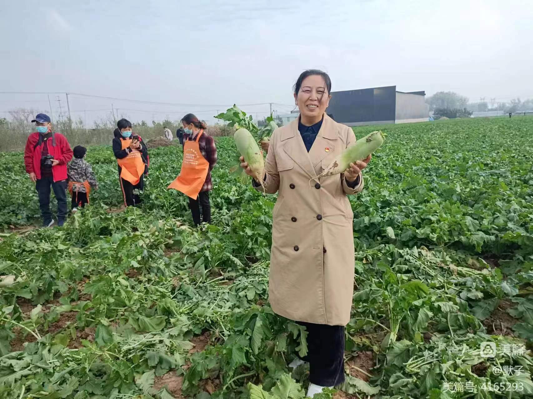 在希望的田野上——记周口市淮阳区冯塘乡丁洼村驻村第一书记孙艳
