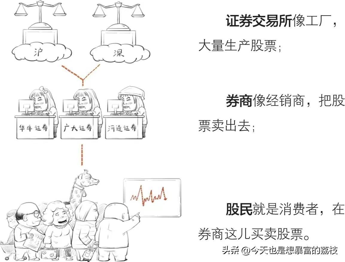 荔枝课堂讲课,荔枝课堂内容