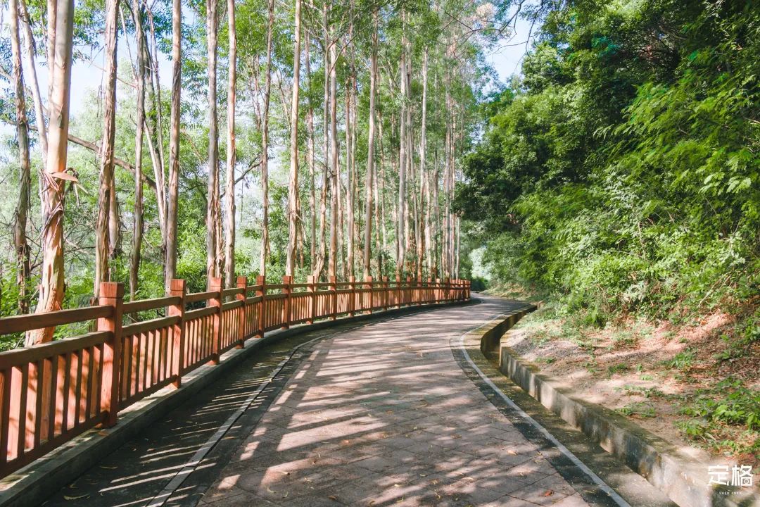 深圳周末休闲放松的好地方有哪些,周末去哪玩深圳推荐几个地方