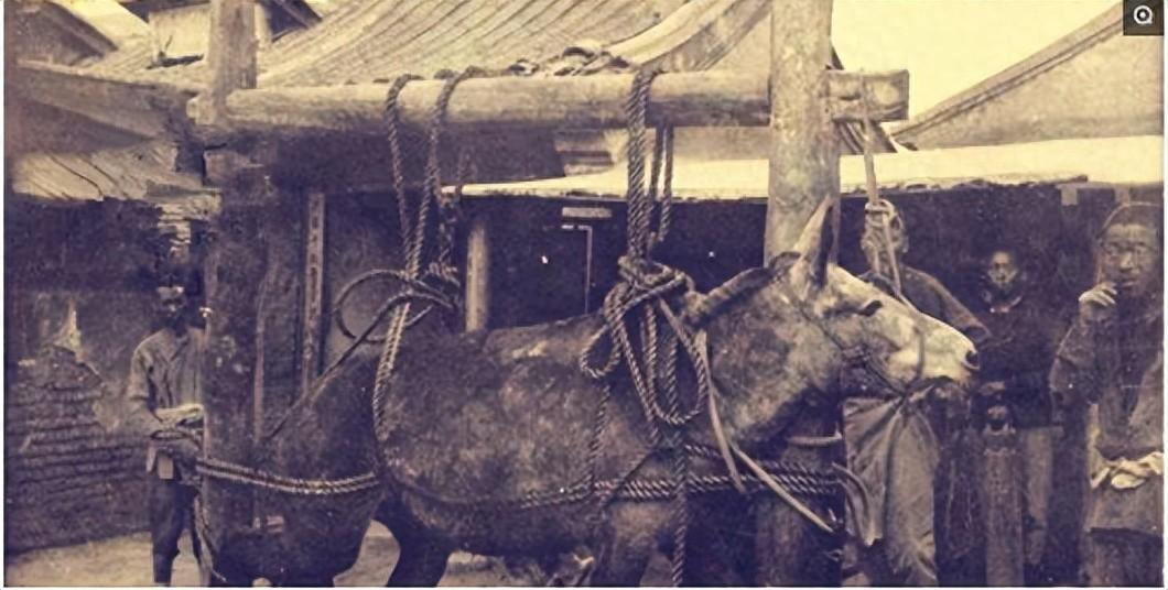 珍贵照片侵华暴行,珍贵影像民国日军杀害南京百姓