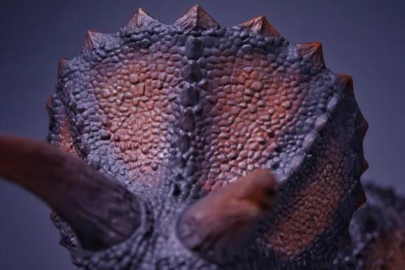 恐龙模型测评t-toy双脊龙jp版,安利亚恐龙模型镰刀龙