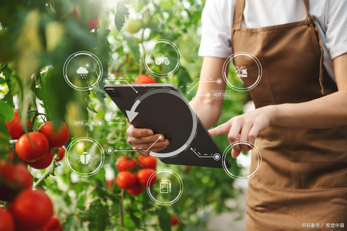 农村电商新模式探索,农村电商助推农业转型升级