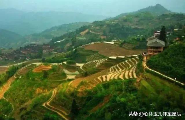 大寨和小岗哪个是典型,大寨与小岗村的实际发展情况