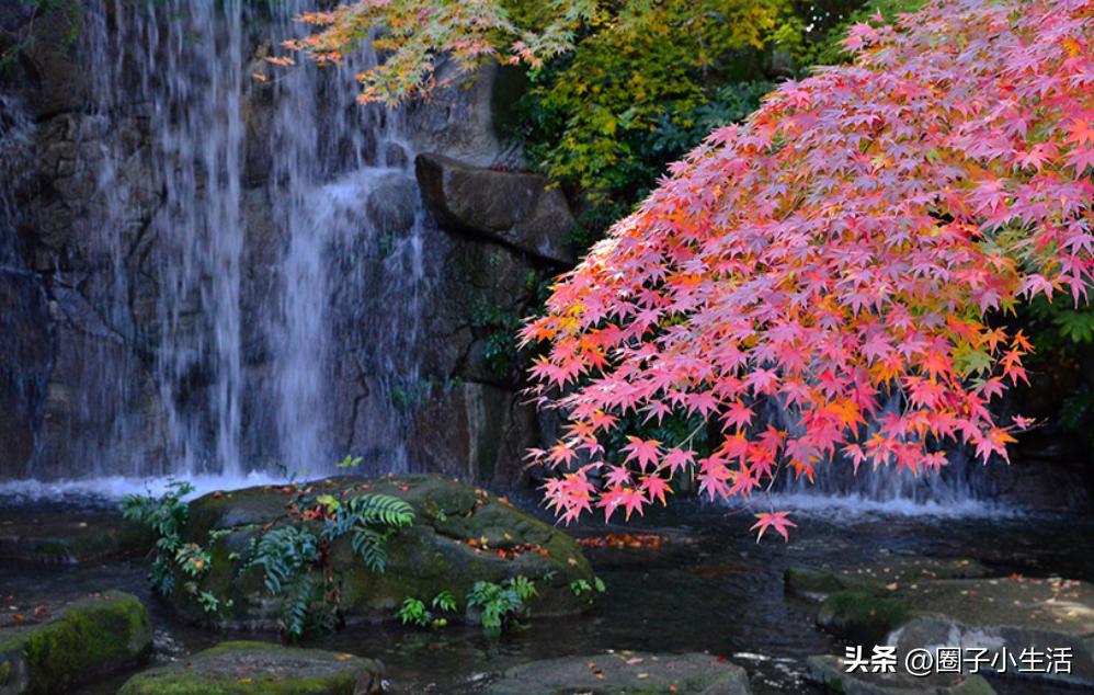 偏振镜的鉴别图,偏振镜参数