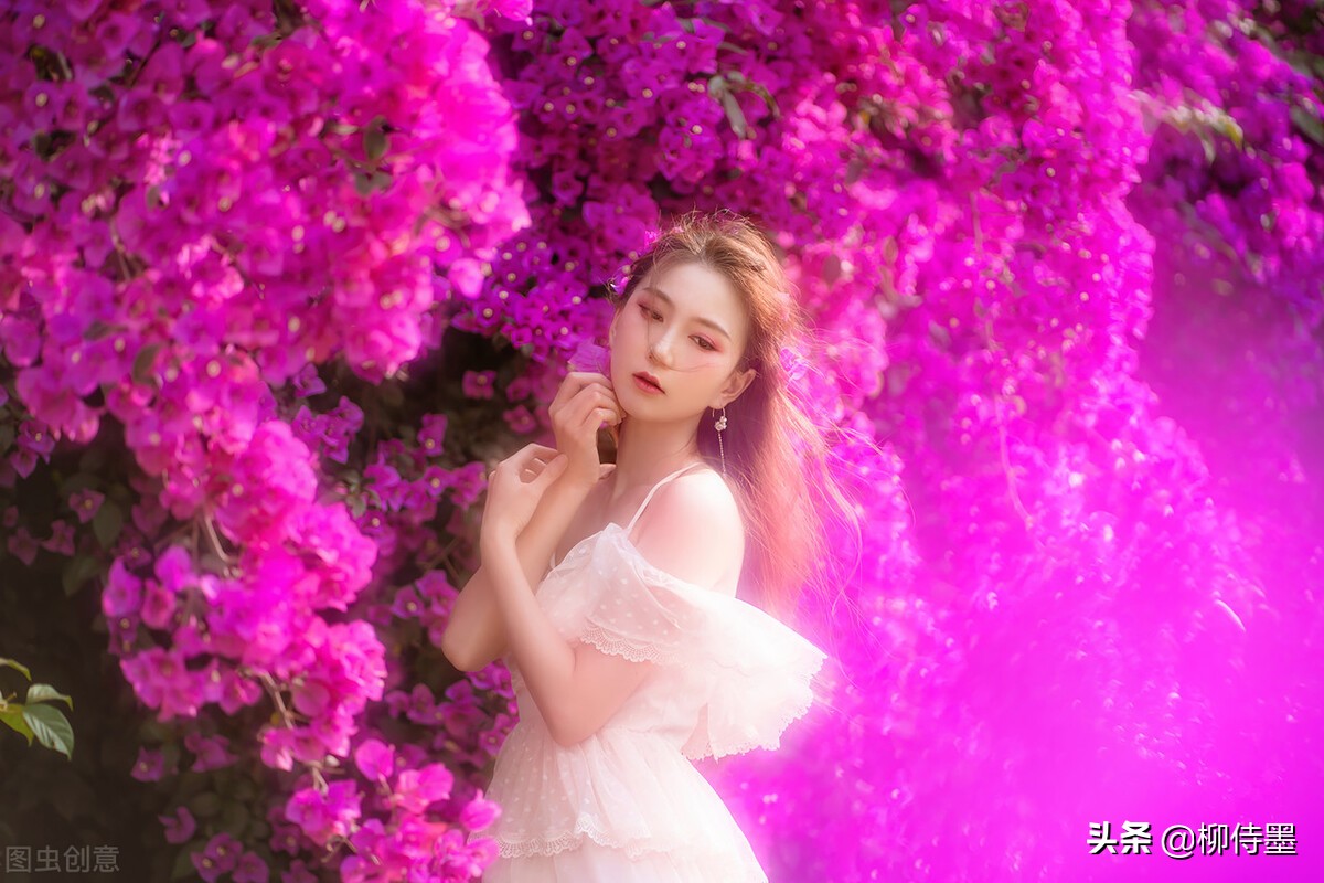 摄影技巧12种简单的拍照方法,拍照新手学习3个摄影技巧