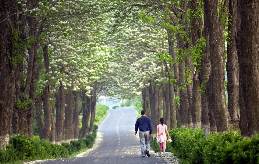 夏天清凉旅游线路推荐,暑假热门旅游线路推荐