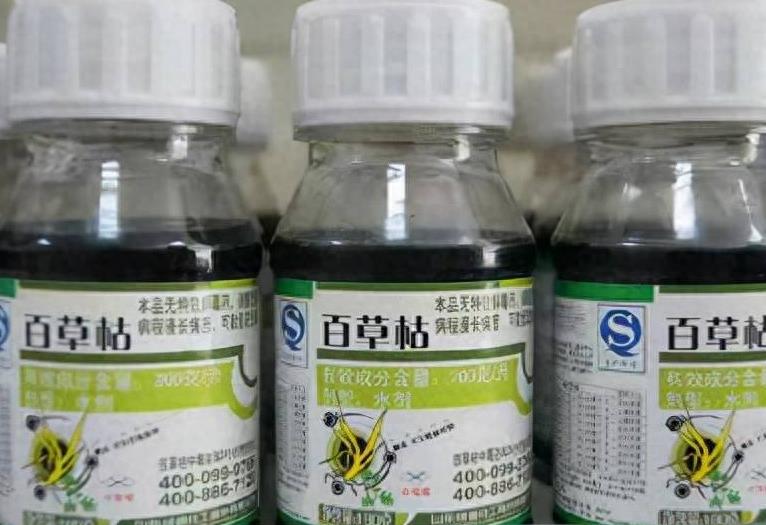 无耻之徒男的抱女的,无耻之极的男人