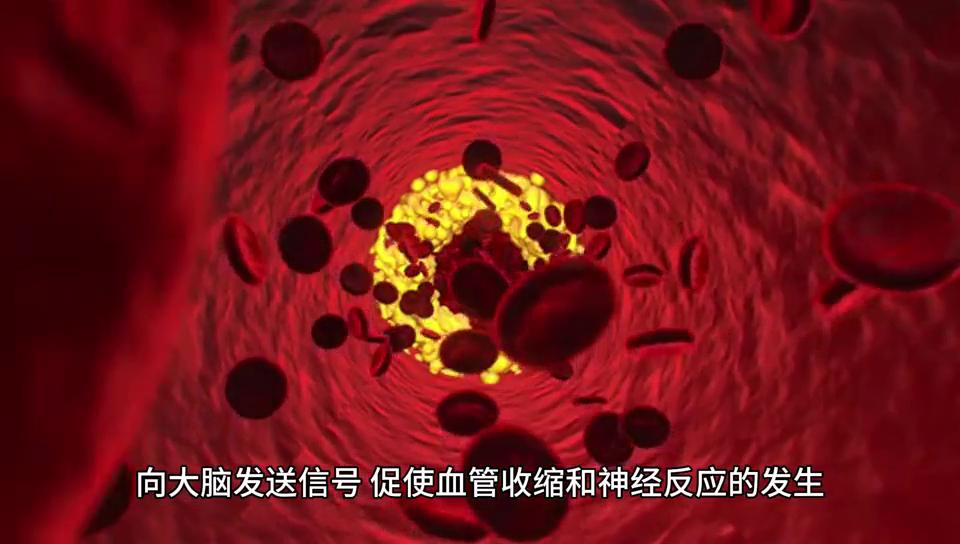 洗澡手起皱纹是怎么回事,洗澡时手指起皱纹怎么办