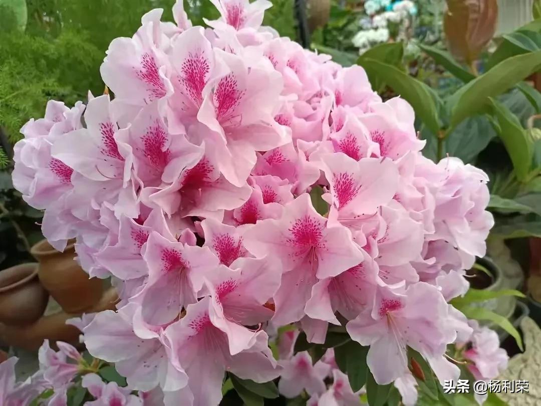 七律人生感悟二十八首,最经典的七律20首