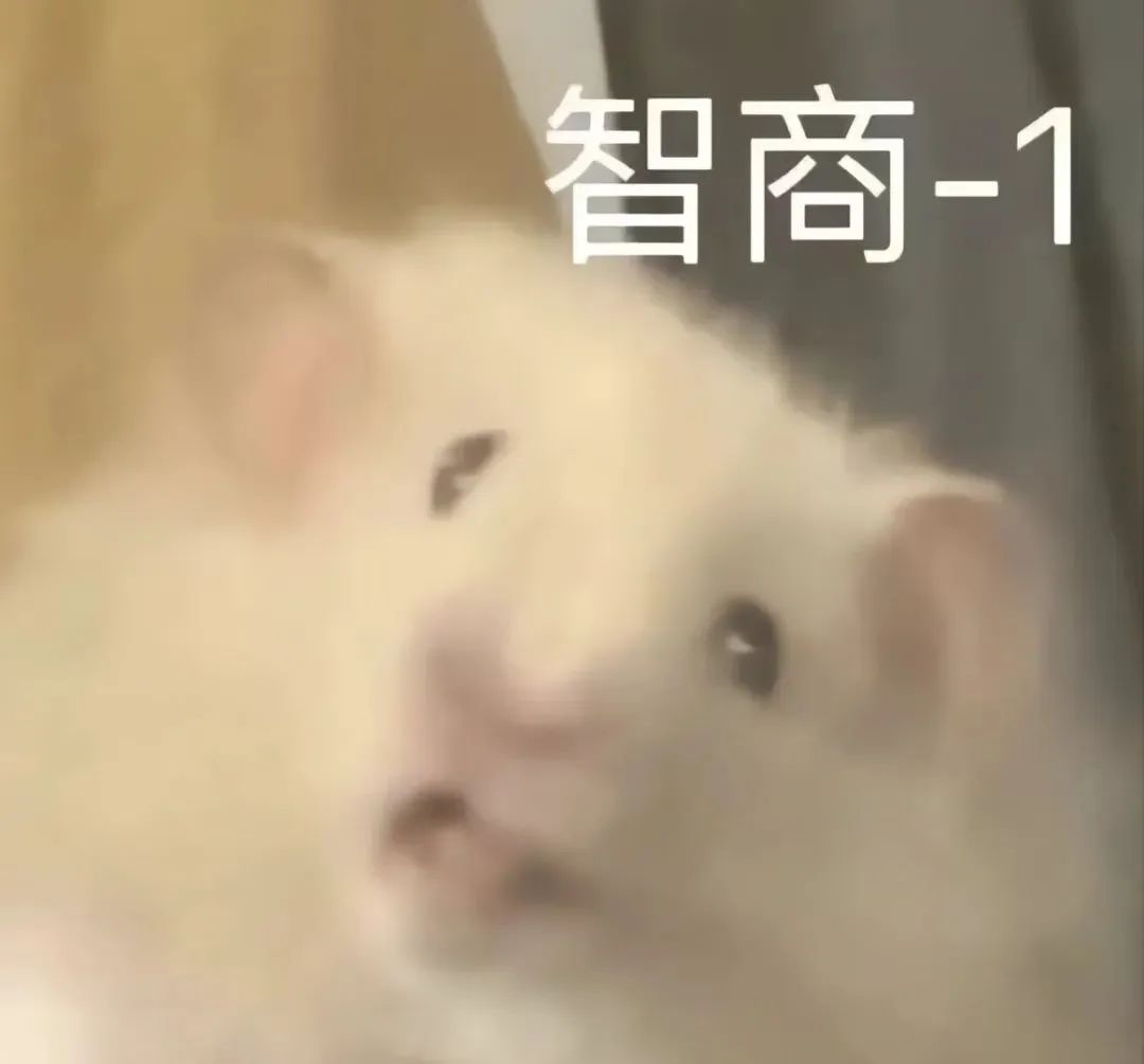 我涉嫌喜欢你表情包,今日任务喜欢你表情包