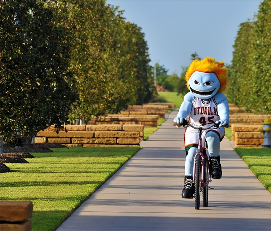 美国德克萨斯大学达拉斯分校,得克萨斯州名校