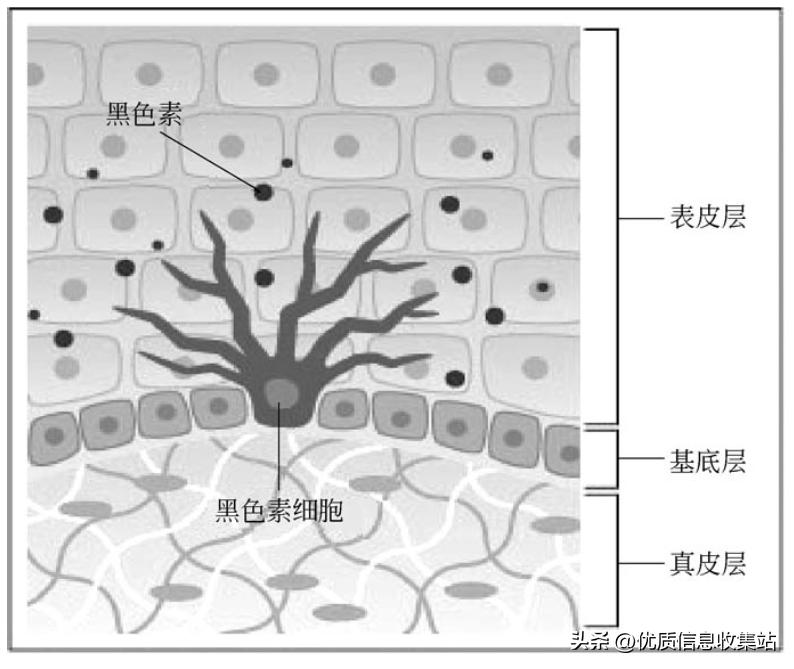 美容书单,美容知识书单