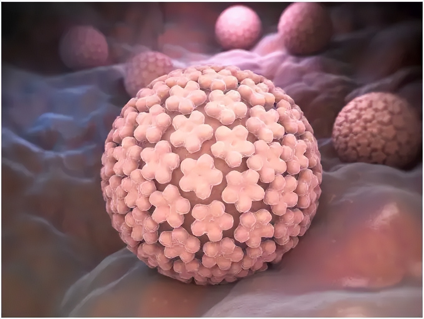 绝经后出血宫颈癌筛查正常怎么办,绝经后宫颈癌筛查多长时间做一次