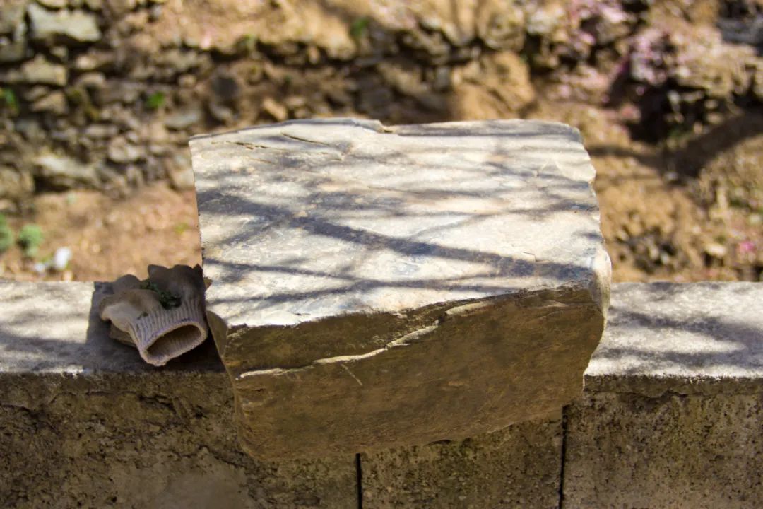 眼前这个地方，秦岭黄柏岔沟底这个房子，就是我心中的“桃花源”