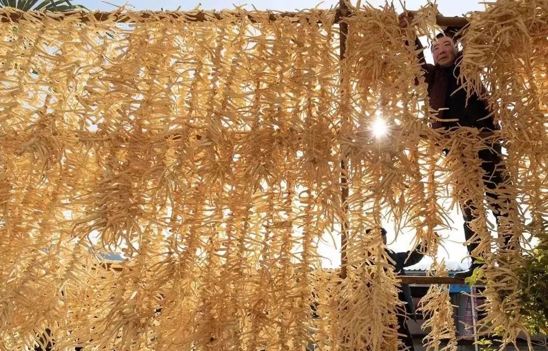 成县招商引资政策,2024陇南武都招商引资推荐项目