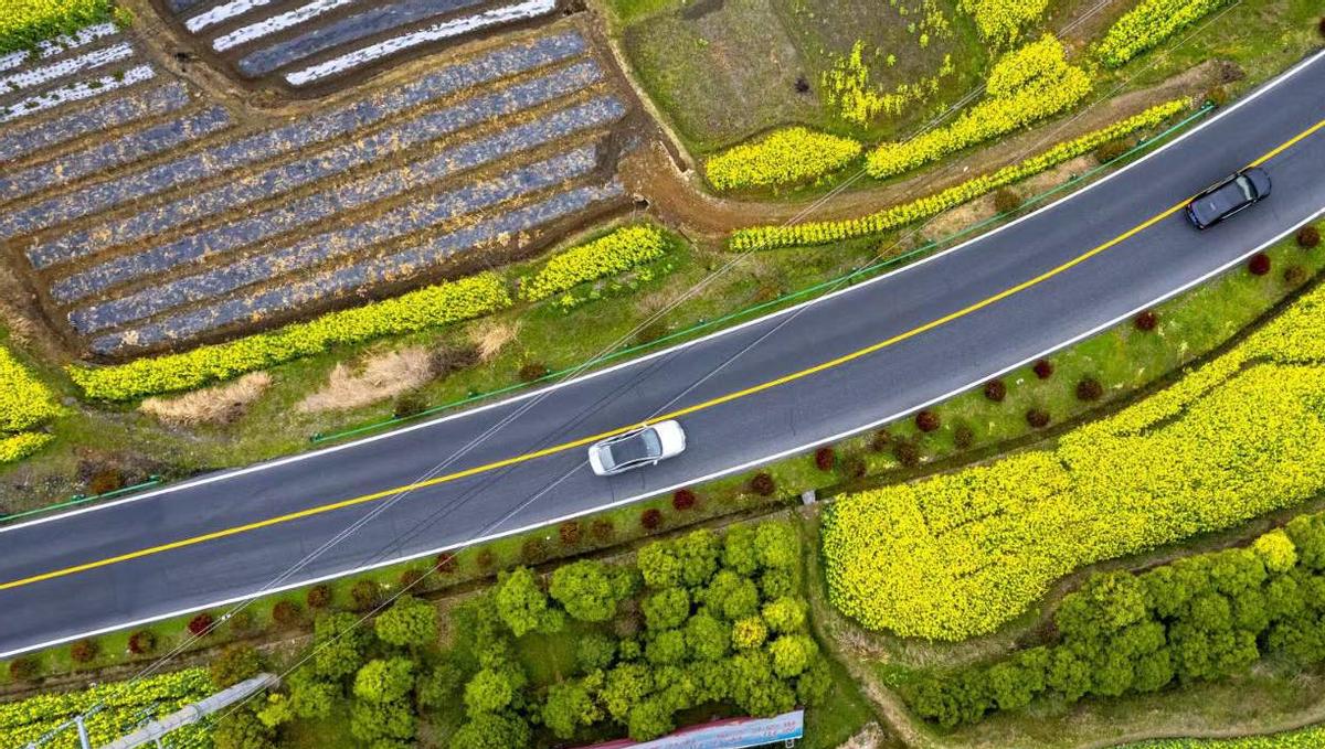 老虎属于寓言故事吗,老虎寻食记寓言