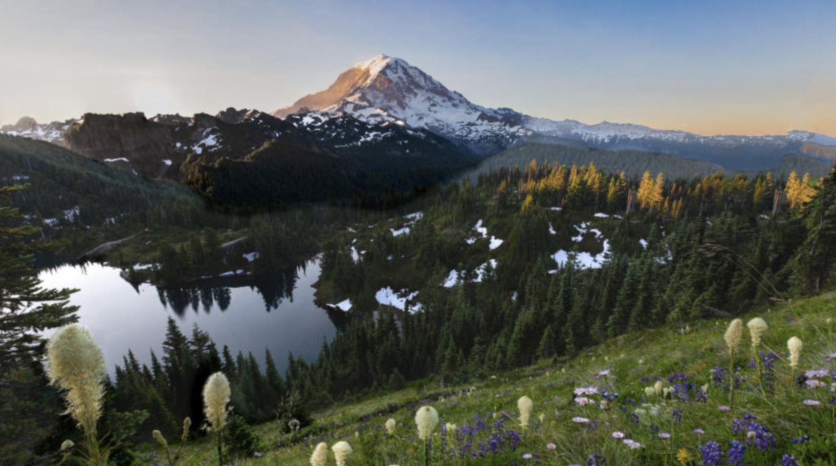 看上去老实实际上最叛逆的星座,三大孤傲星座具备强大实力