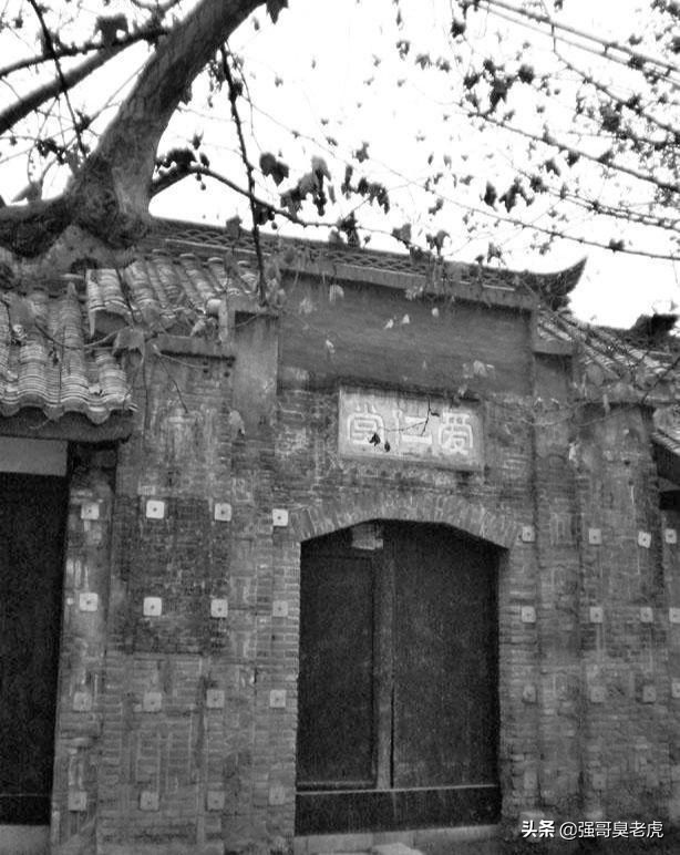 滥点子刘航琛（尚可）