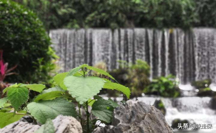 特定养老储蓄有什么用,今年还有特定养老储蓄吗