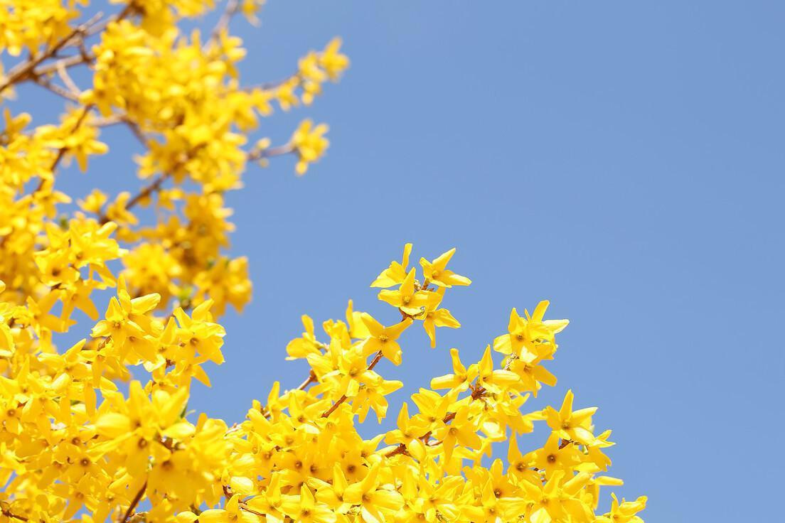 命不好的人身上往往有三个通病,命不好的人有什么面相特征