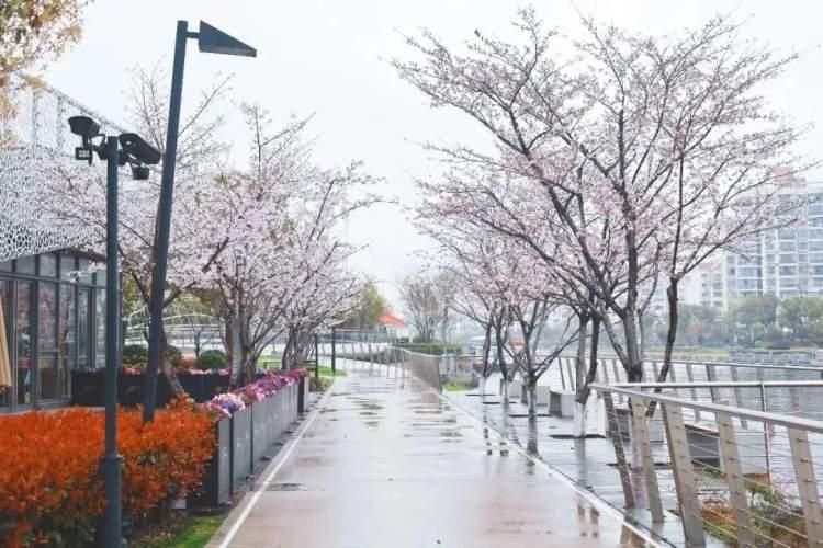 长宁区必去的打卡地,长宁打卡地方