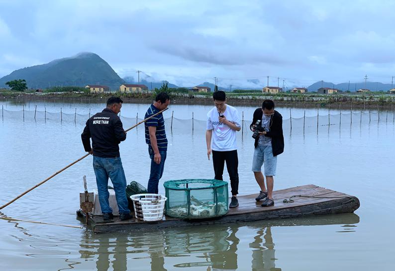 锯缘青蟹多少钱一只,锯缘青蟹家常做法