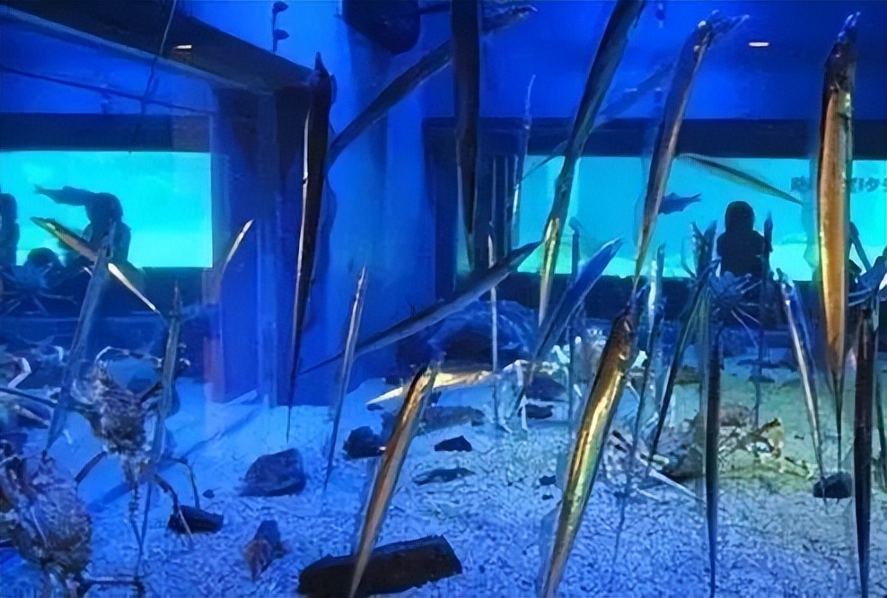 上厕所为什么又叫解手,上厕所为何叫解手