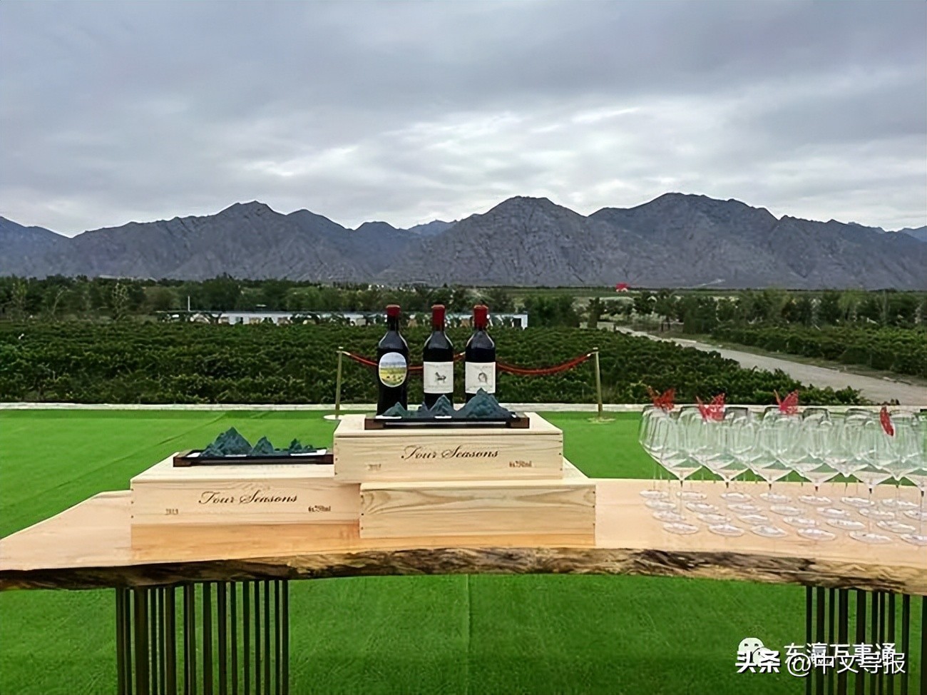 宁夏贺兰山东麓葡萄酒庄参观,宁夏葡萄酒庄参观