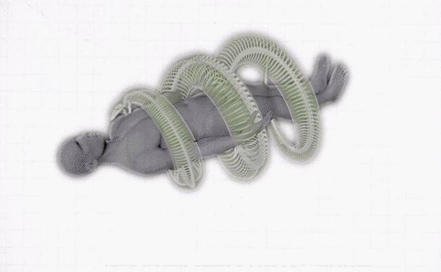 巨蟒吞下的是什么,被巨蟒咬上一口是什么感觉