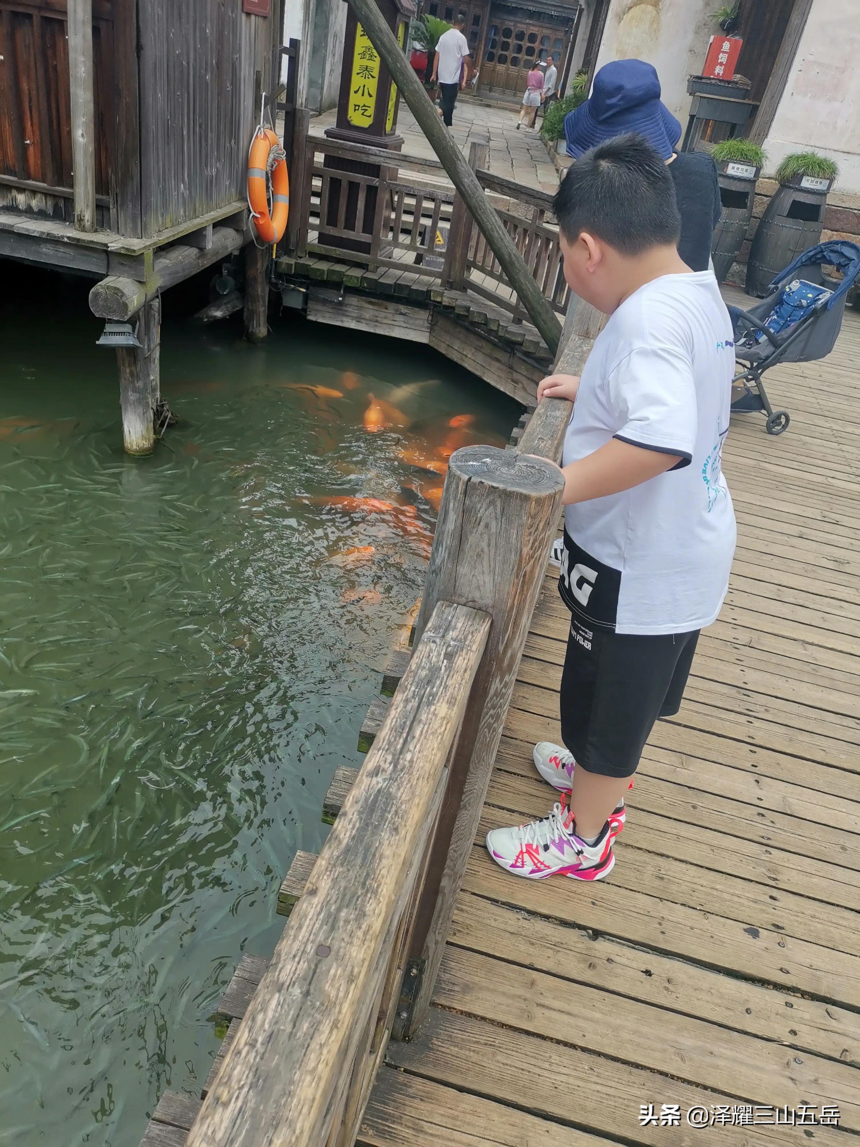 瘦西湖和西湖哪个更值得去,瘦西湖收费吗