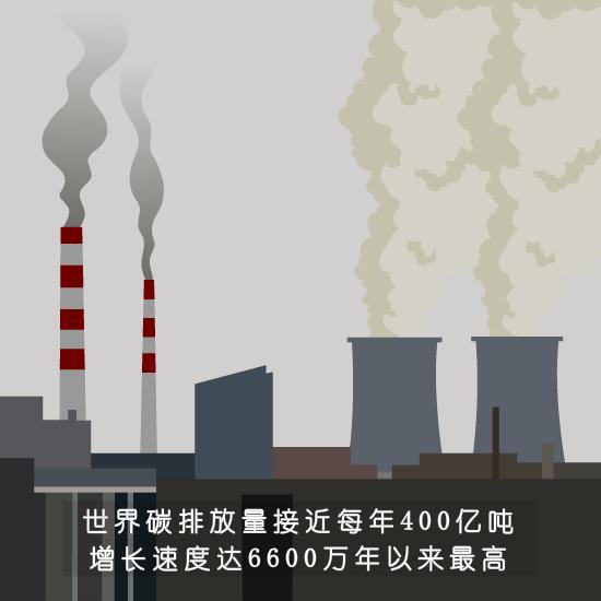 燃烧后的煤渣还有养分吗,煤燃烧后就只剩渣了