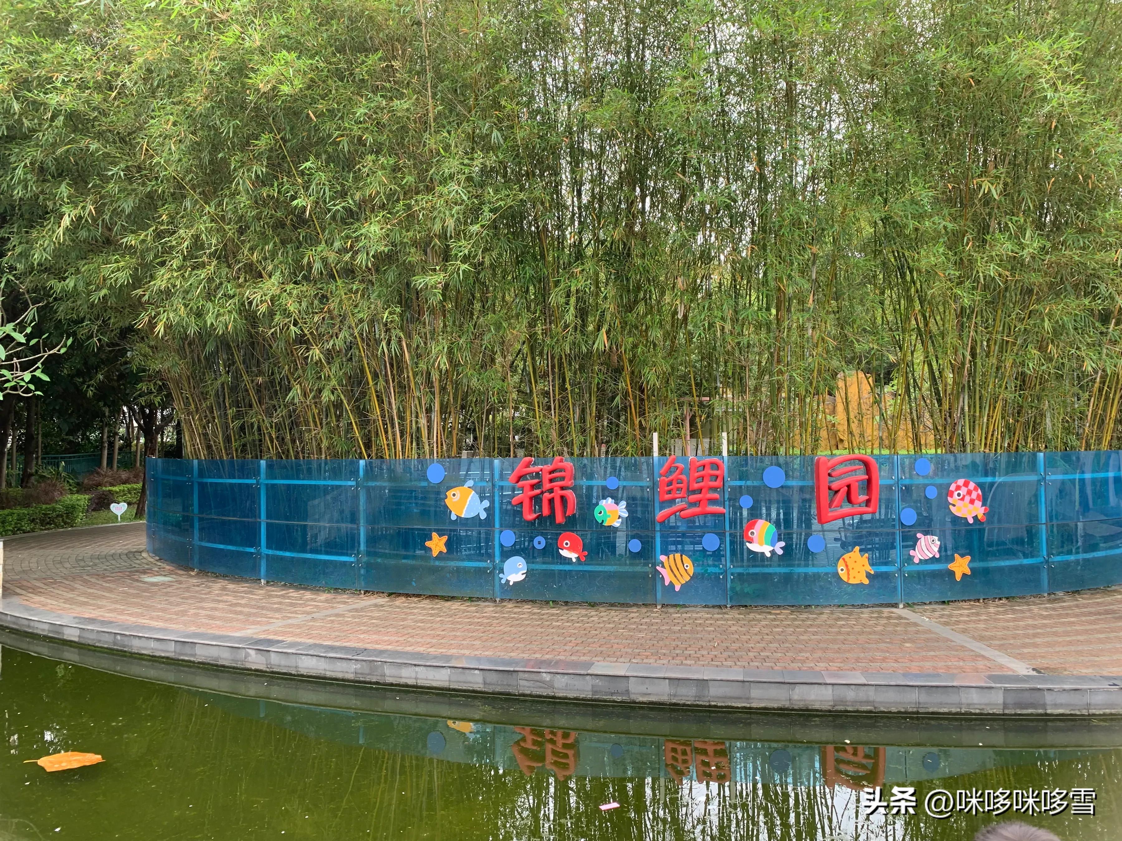 深圳市儿童乐园一日游,深圳儿童乐园值得去吗