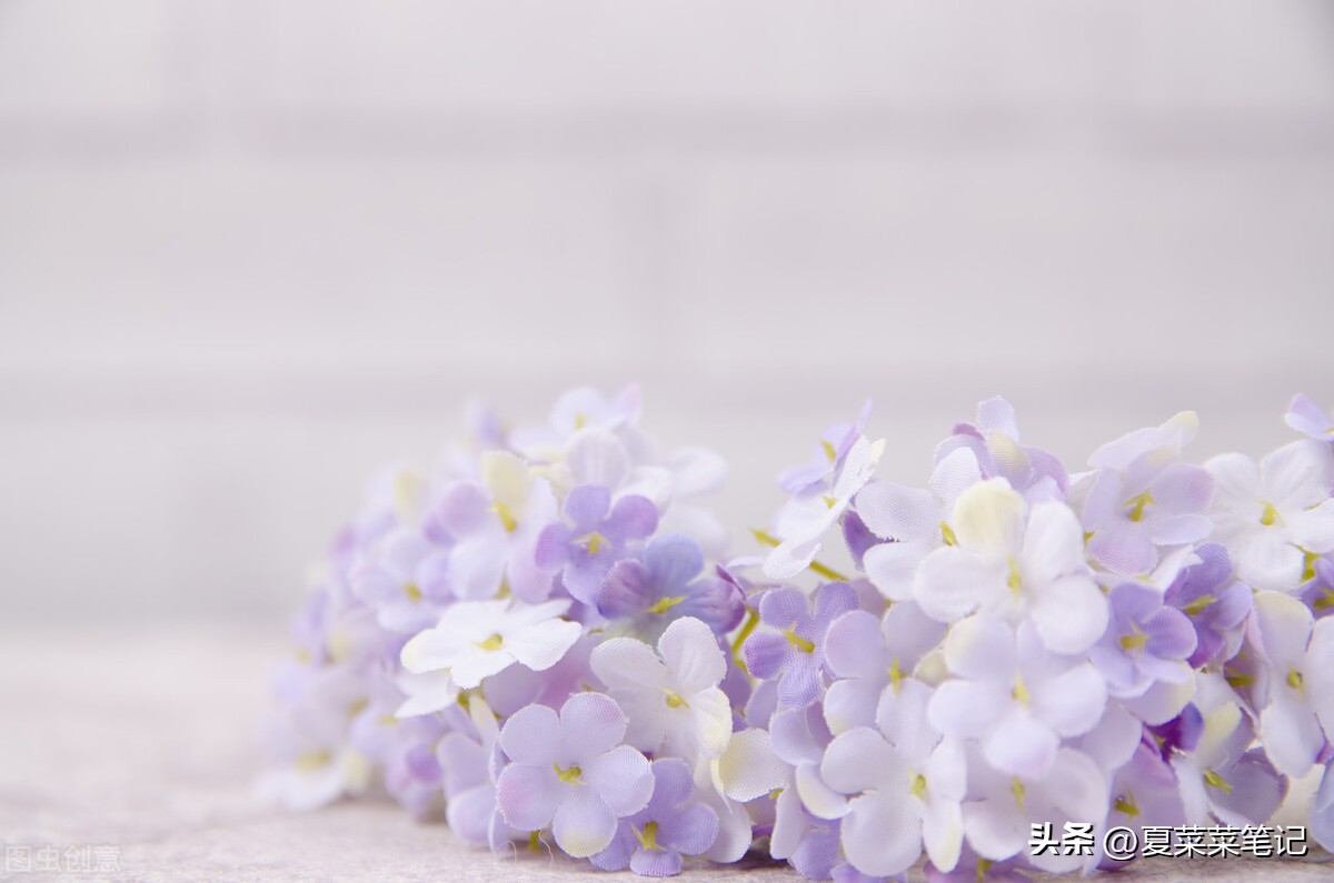 上班族可做哪些副业赚钱快,上班族做副业适合干点什么