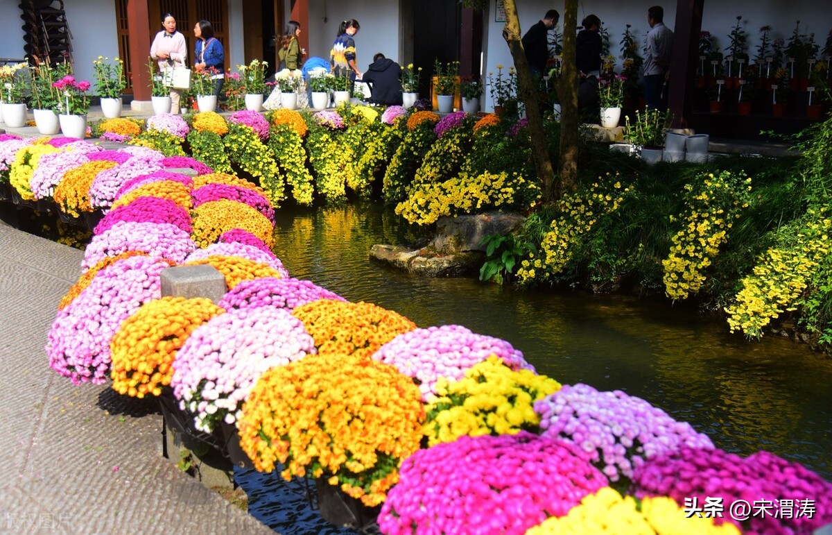 宋姓起源,山西洪洞宋姓起源