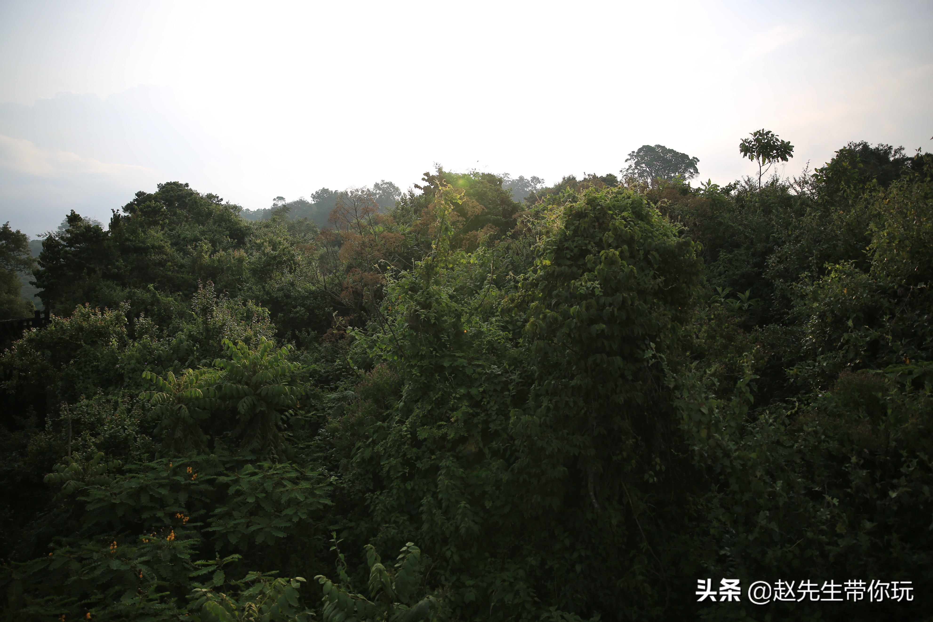 二十年游历分享之202:非洲19:肯尼亚18尼耶利的方舟酒店