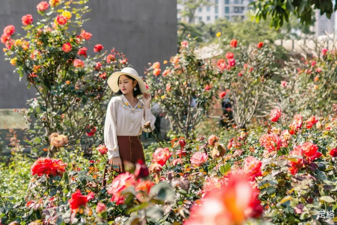 11号线有啥好玩的,北京地铁11号线