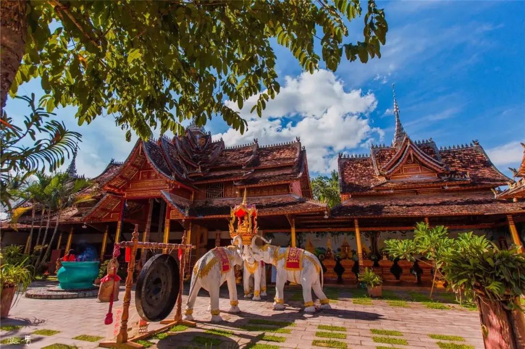 西双版纳风景优美的康养公寓,西双版纳民宿万达片区