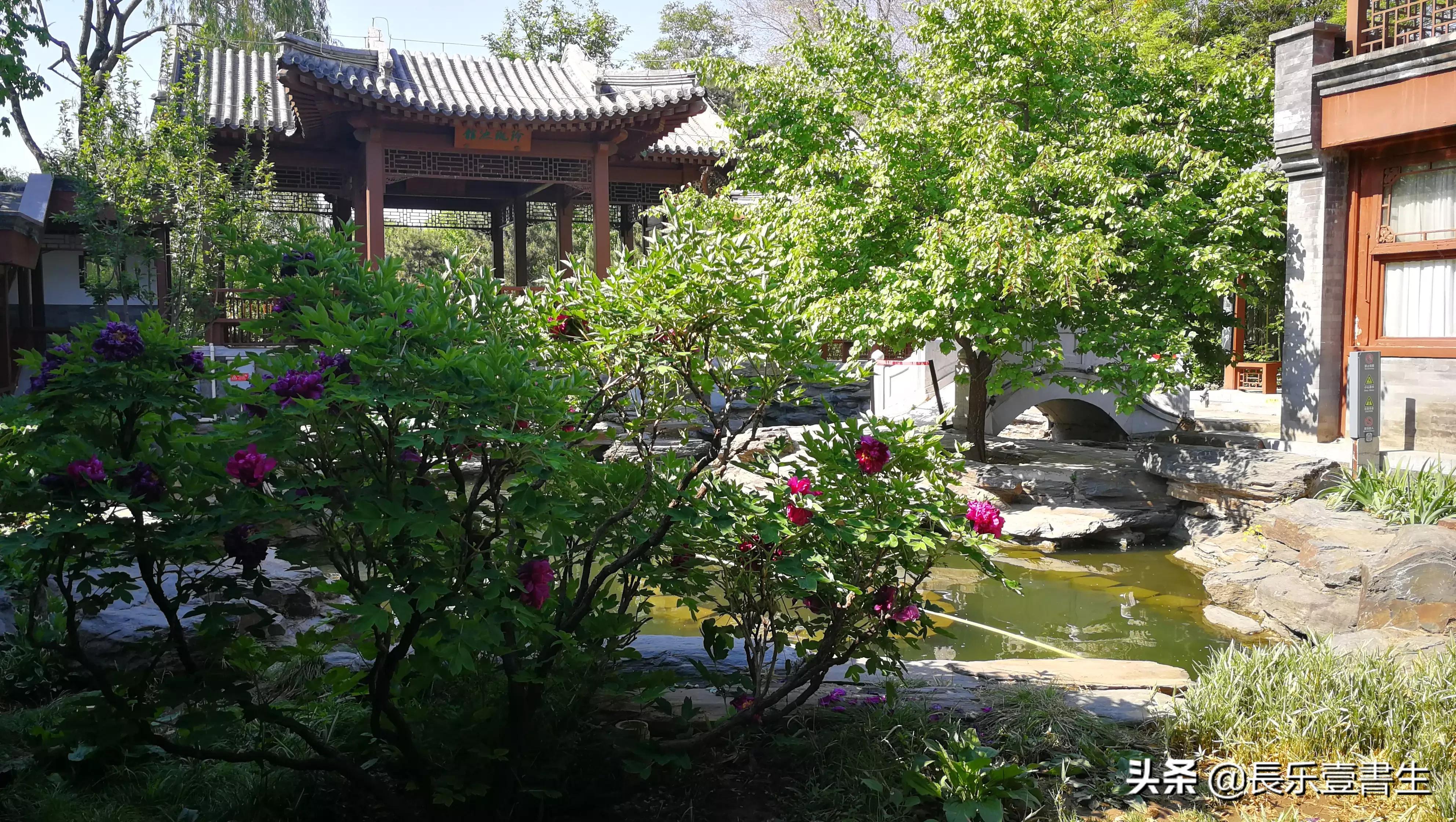 中国园林博物馆游览时间表,小众游玩强烈推荐北京园林博物馆