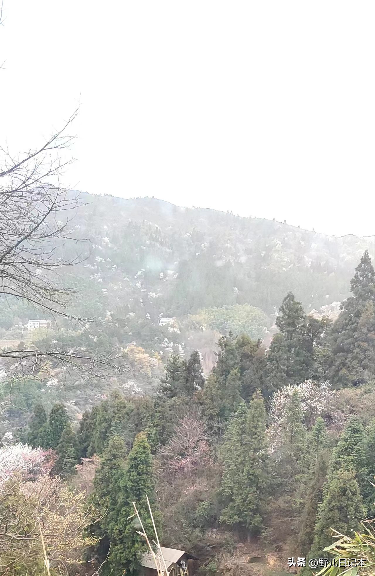 在银行里当保洁很累吗,在银行干保洁的感受