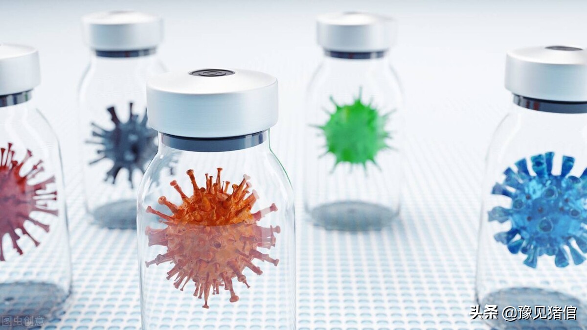 养猪技术猪圆环病,猪痢疾的发病原因及预防措施