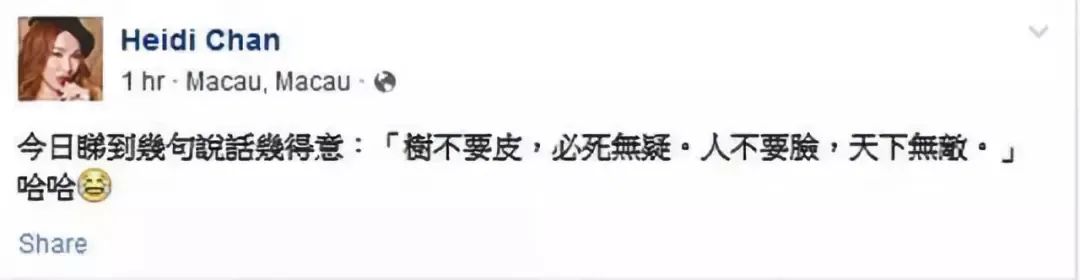 澳门叠码仔电视剧10集,澳门叠码仔会被抓吗