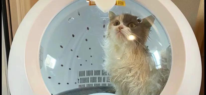 2023年最赚钱十大风口出炉,创业风口2023